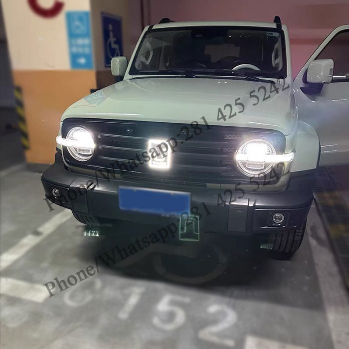 5th Generation Dynamic Led Emblem for GWM TANK 300 (White/RGB)